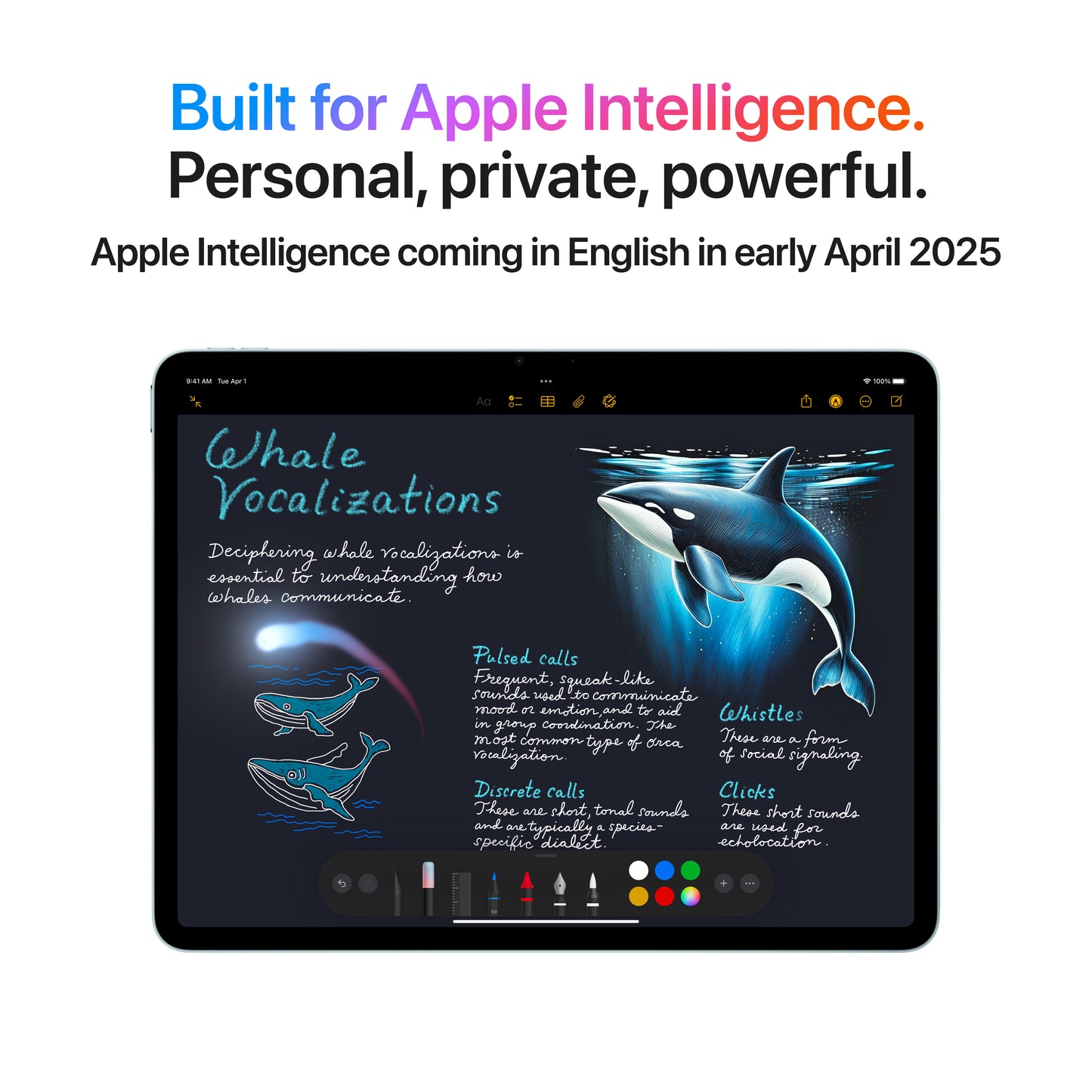 11-inch iPad Air Wi-Fi + Cellular 128GB - Blue (M3) - iSTYLE BG
