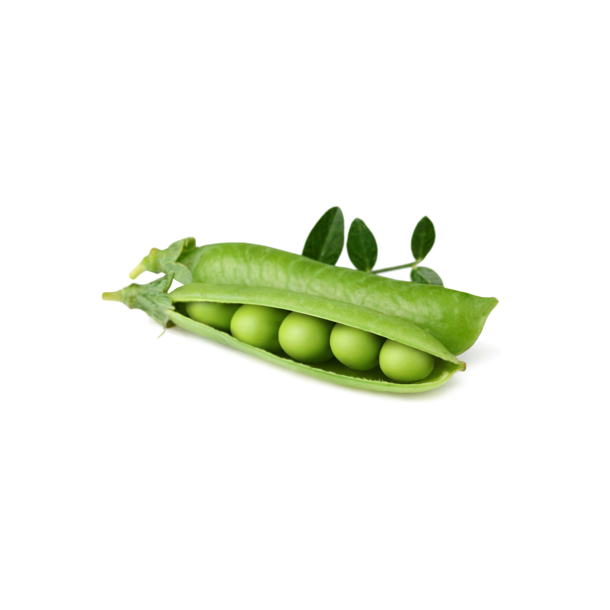 Мини грах - 3 капсули семена за Smart Garden - iSTYLE BG