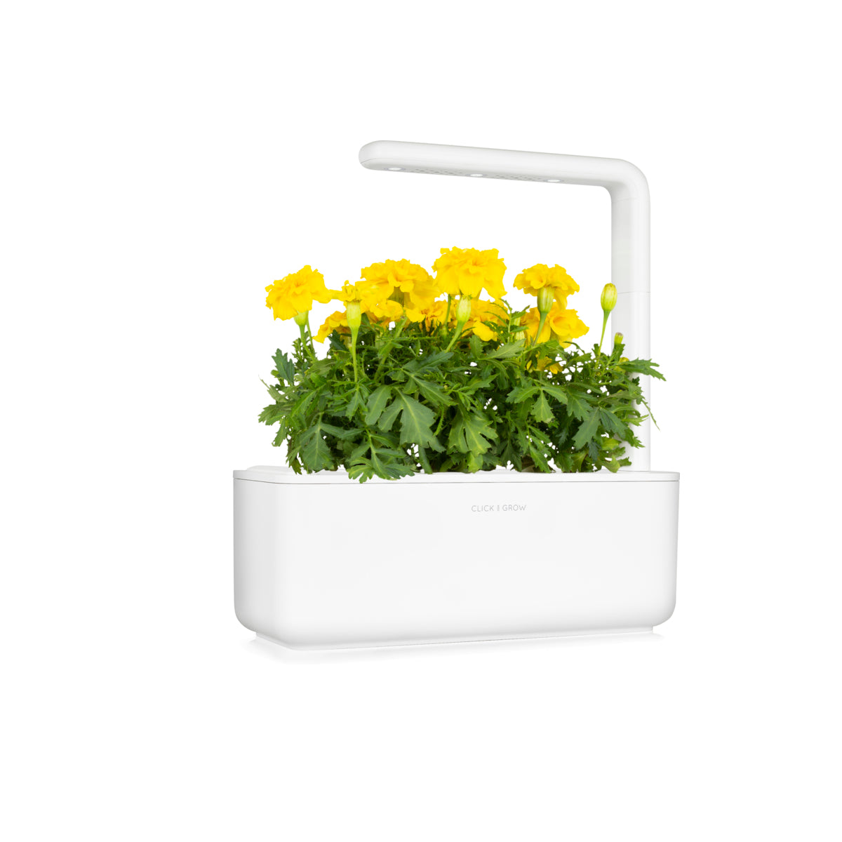 Smart Garden 3 - градина за дома в бяло - iSTYLE BG