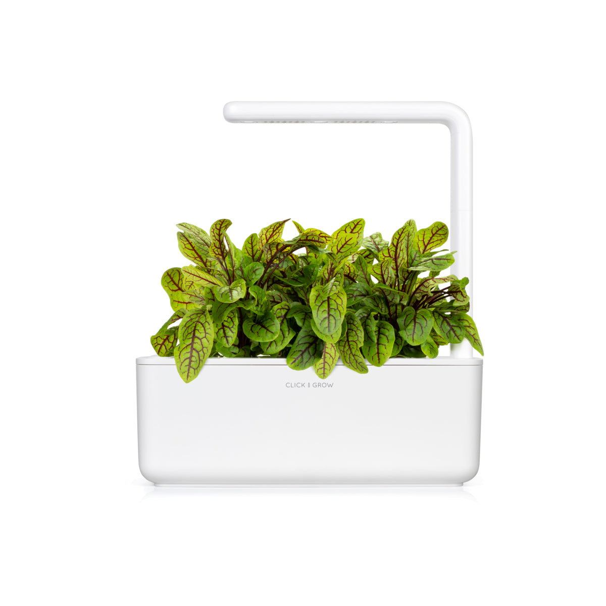 Smart Garden 3 - градина за дома в бяло - iSTYLE BG