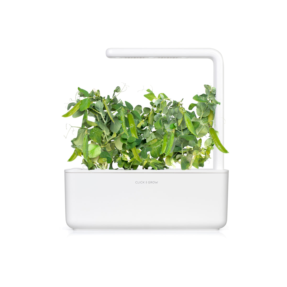 Мини грах - 3 капсули семена за Smart Garden - iSTYLE BG