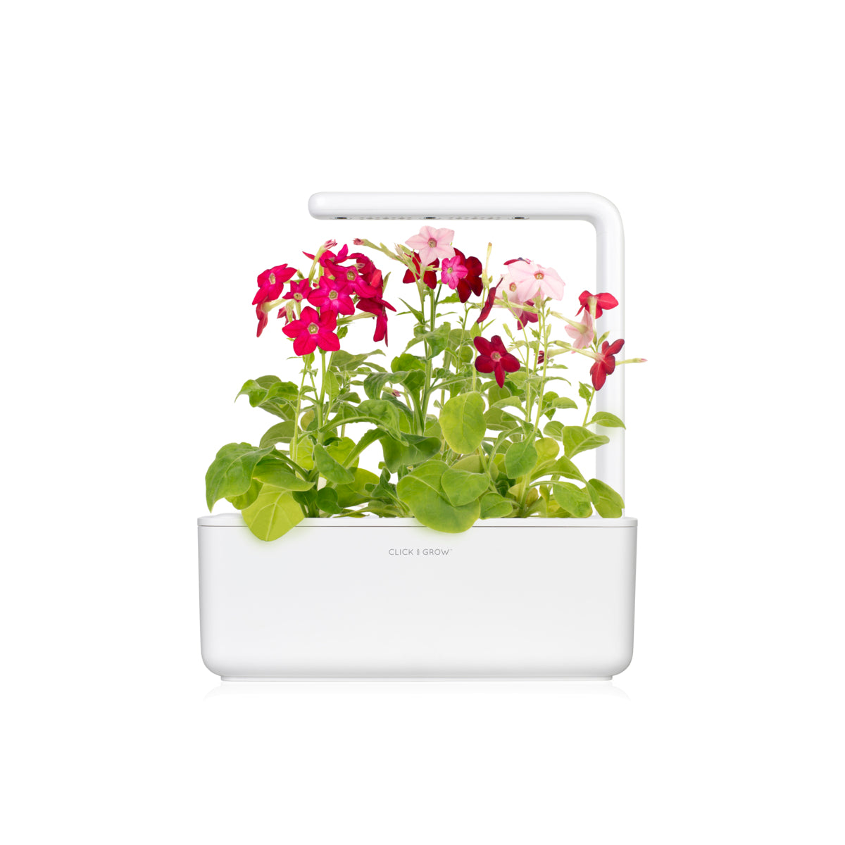 Smart Garden 3 - градина за дома в бяло - iSTYLE BG