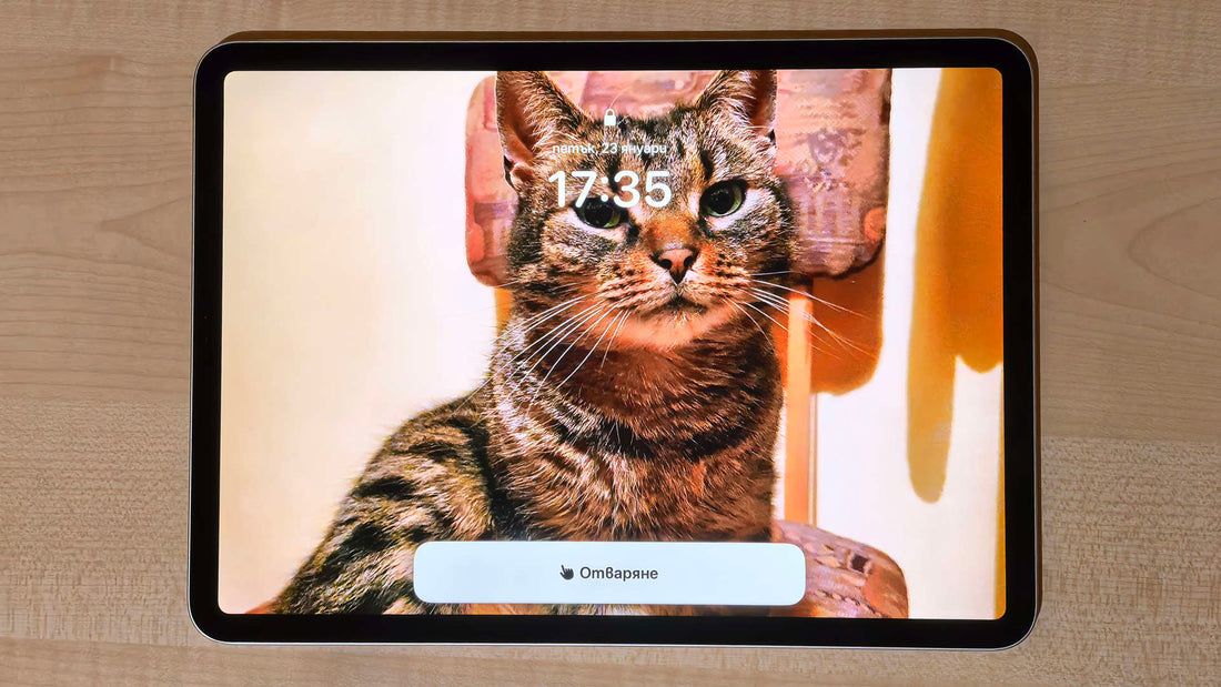 Как да опростите управлението на iPhone и iPad с Assistive Access
