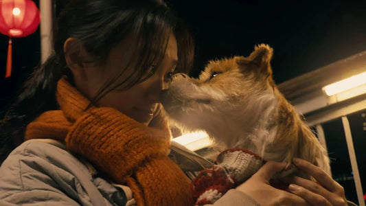 Нов късометражен филм на Apple за Китайската нова година