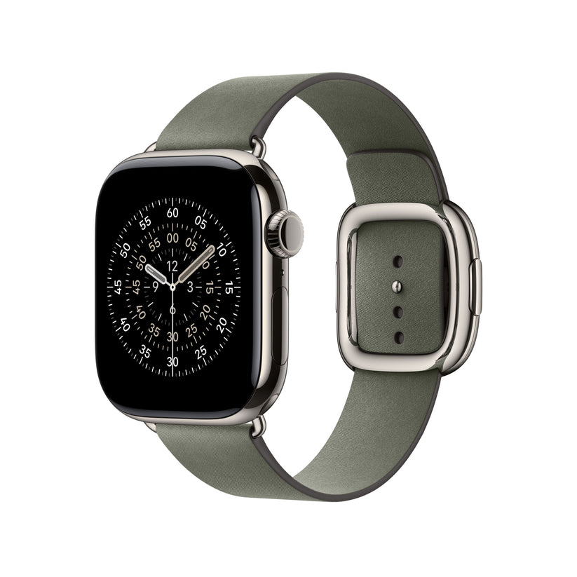 42mm Sage Grey Modern Buckle - Large - iSTYLE BG