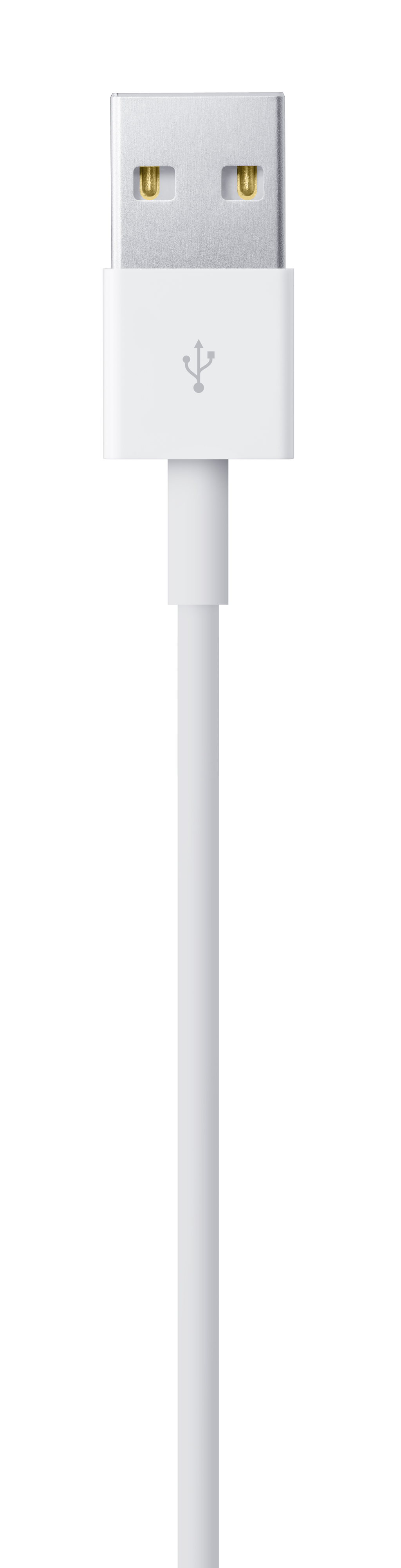 Lightning to USB Cable (1m) - iSTYLE BG