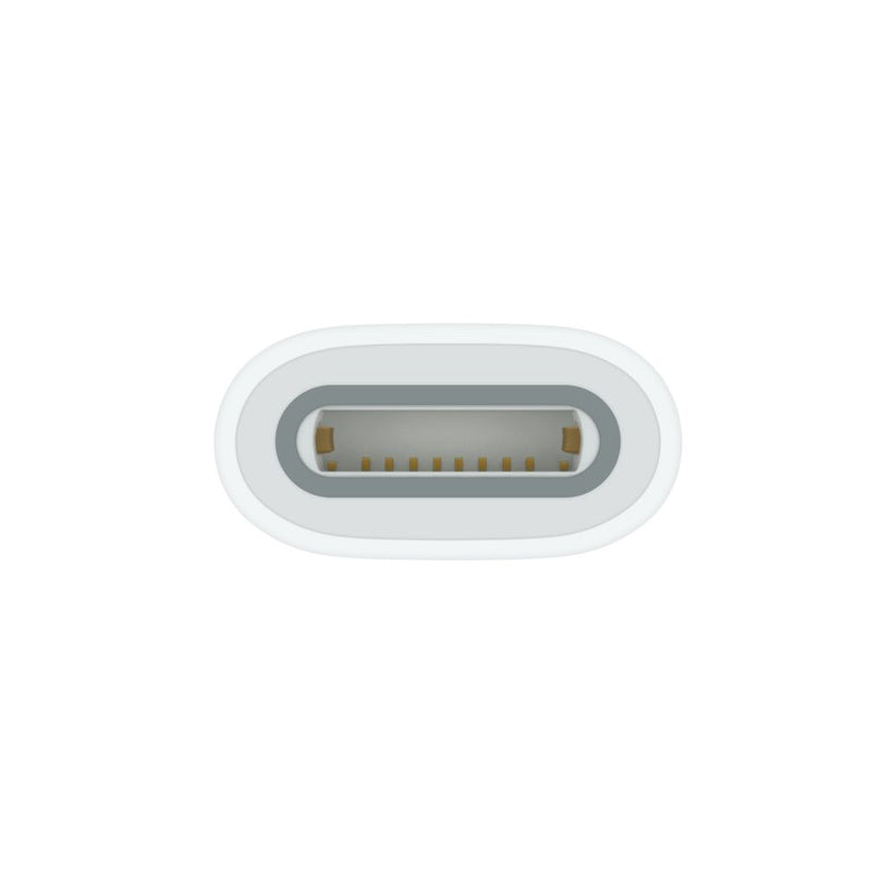 USB-C to Apple Pencil Adapter - iSTYLE BG