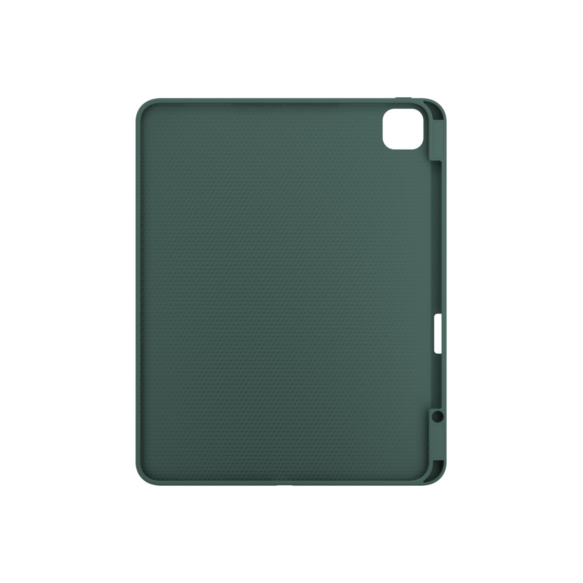 NEXT ONE GREEN ROLLCASE FOR IPAD PRO 13" M4 - iSTYLE BG
