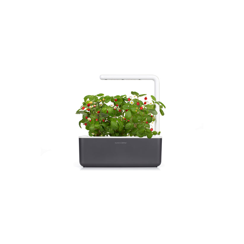 Smart Garden 3 - градина за дома в сиво - iSTYLE BG